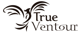 logo b true ventour